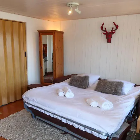 Studio Bisse Vieux B1 Apartmán Nendaz